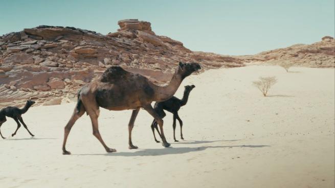 Still from Najran