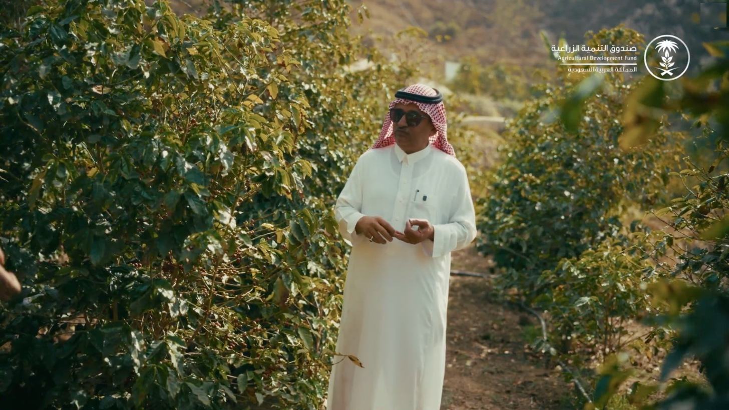 Still from Tarfa Farm